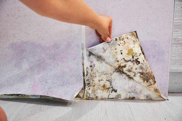  Lexington, KY Water damage restoration Pros